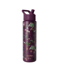 Summit Water Bottle with Straw Lid