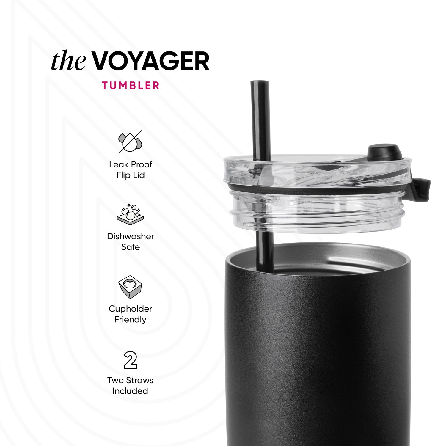 VoyagerSK_Tech.jpg